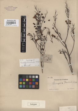 LE 00017235