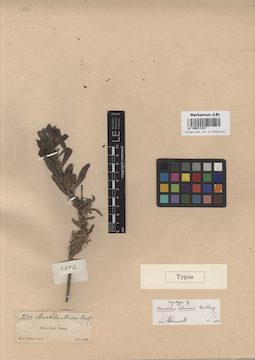 LE 00017237