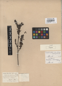 LE 00017239