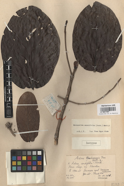 LE 00017264
