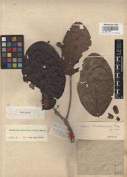 LE 00017266