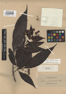 LE 00017267