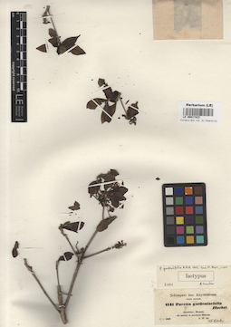 LE 00017423