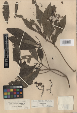 LE 00017430
