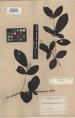 LE 00017444