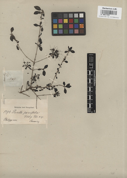 LE 00017454