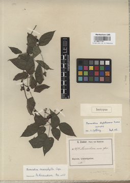 LE 00017715