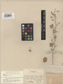 LE 00017728