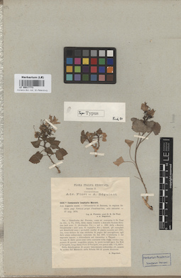 LE 00017773