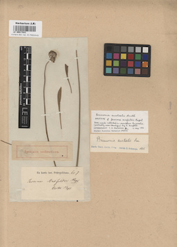 LE 00017843
