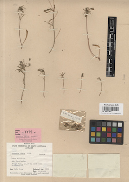 LE 00017861