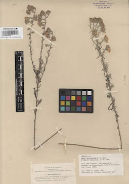 LE 00017878