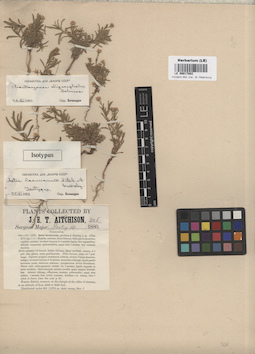 LE 00017882