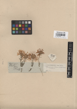 LE 00017883