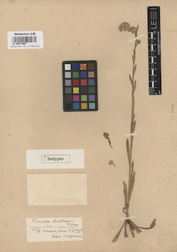 LE 00017905