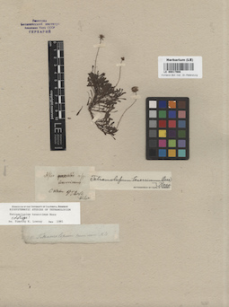 LE 00017908