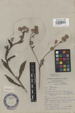 LE 00017914
