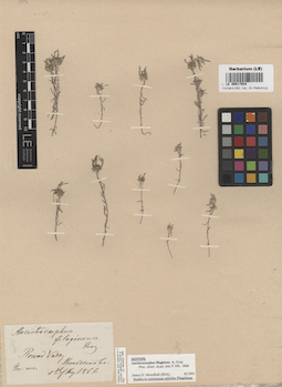 LE 00017924