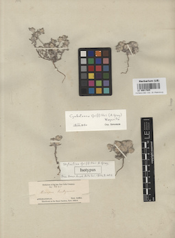 LE 00017925