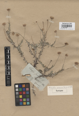 LE 00017945