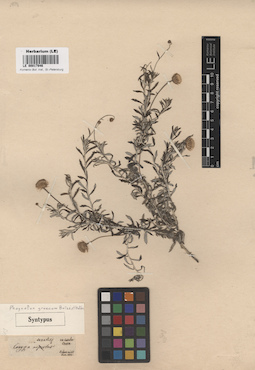 LE 00017946