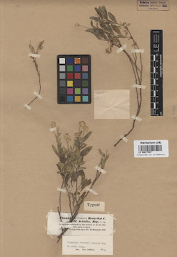 LE 00017947