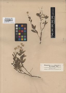 LE 00017948