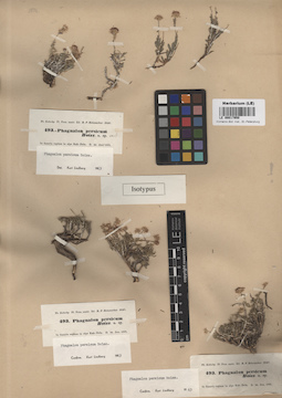 LE 00017950