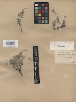 LE 00017951
