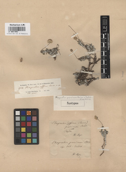 LE 00017952