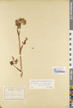 LE 01067182