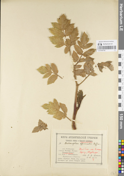 LE 01067192
