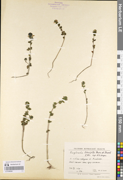 LE 01086268