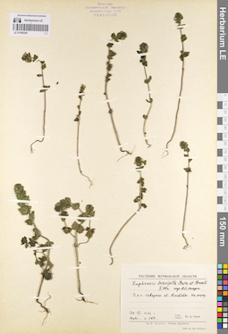 LE 01086269