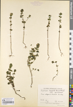 LE 01086270