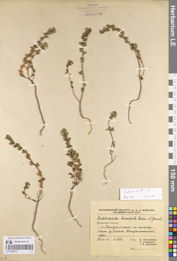 LE 01086274
