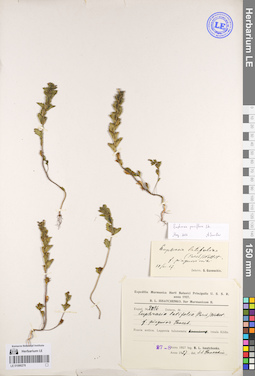 LE 01086276