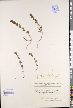 LE 01086306