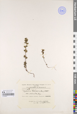 LE 01086307
