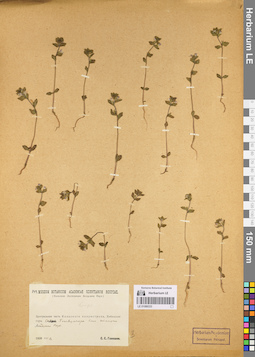 LE 01086333