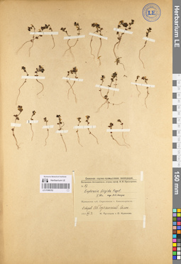 LE 01086352