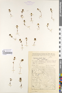 LE 01086359