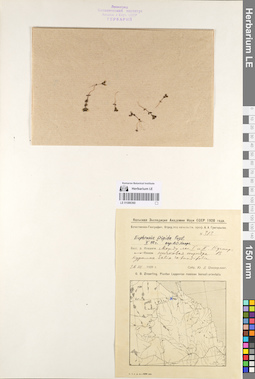 LE 01086360
