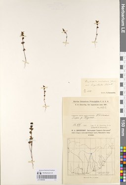 LE 01086366