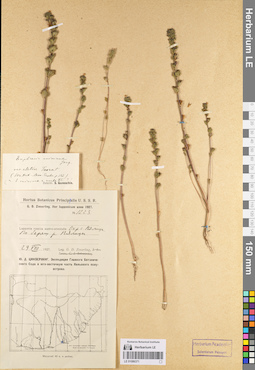 LE 01086371