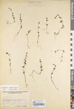 LE 01086375