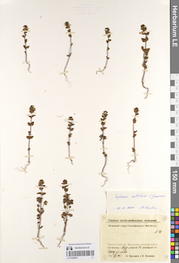 LE 01086507