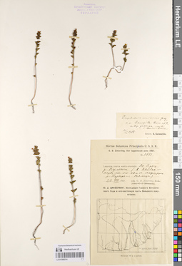 LE 01086514