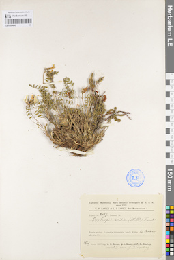 LE 01094645