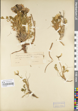 LE 01094669